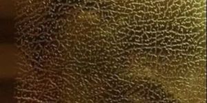 Elephant Skin Leather Texture Stainless Steel Sheet