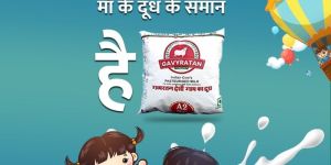 GAVYRATAN INDIAN DESI COWS PURE A2 MILK