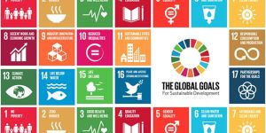 International Trade Analysis