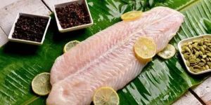 Frozen Basa Fish
