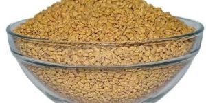 Fenugreek Seed