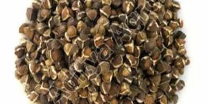 Moringa Seeds