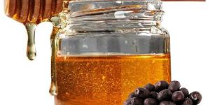 Unifloral Jamun Honey