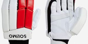 Cricket Gloves