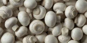Fresh Button Mushroom