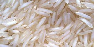 IR 64 Rice