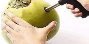 Stainless Steel Coconut Opener