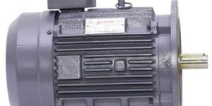 IE 2 Cast Iron Flange Mounted Induction Motor