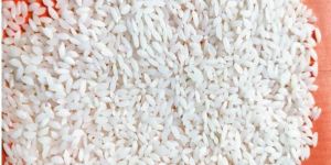 Gabinda Bhog White Rice