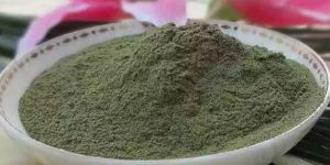 Green Seaweed Extract Powder