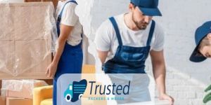 Packers and Movers Boxes