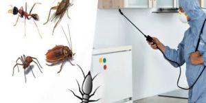 Residential Pest Control Service