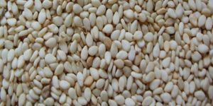 Sesame Seed