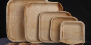 Areca Square Plates