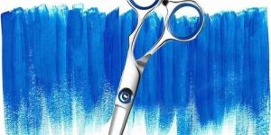 Professional Salon Scissor