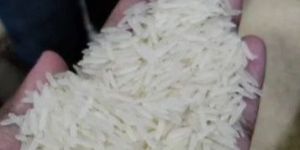 1121 Creamy Sella Basmati Rice