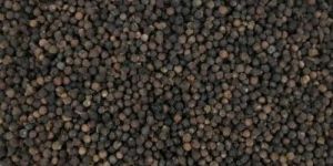 Black Pepper
