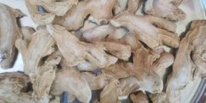 Dry Ginger