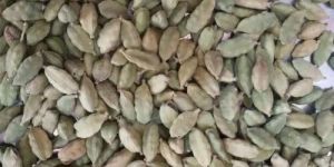 Green Cardamom