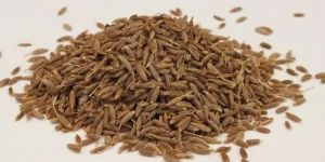 Green Cumin Seeds