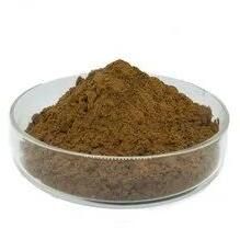 Hot Water Soluble Tea Extract