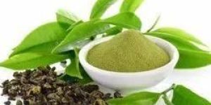 Instant Green Tea Extract