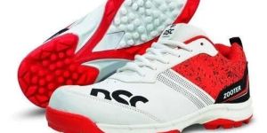 DSC Zooter Cricket Shoes