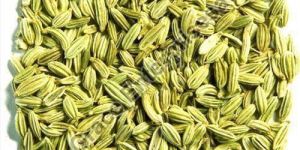 Fennel Seeds