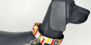 Poolside Chilling Pin Buckle Collar