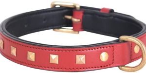 Studded Leather Collar for Dogs (Red)