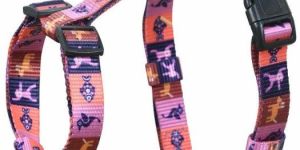 Zootopia H-type Harness
