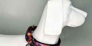 Zootopia Pin Buckle Collar