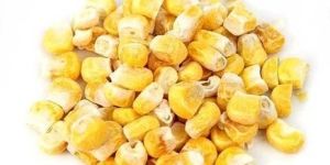 Dried Corn