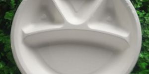 Sugarcane Bagasse Plates