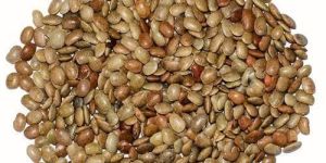 Horse Gram