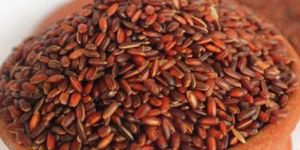 Organic Mappillai Samba Rice