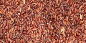 Organic Poongar Rice