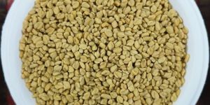 Fenugreek Seed