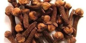 Clove Pods