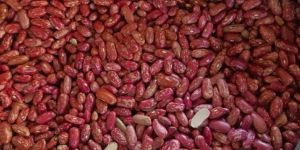 Red Double Bean Disco