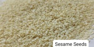 White Sesame Seed