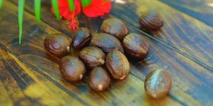 Nutmeg