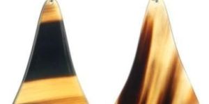 Horn Earrings