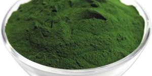 Chlorella Powder