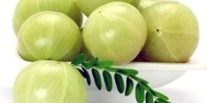 Fresh Amla