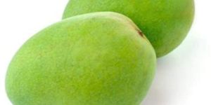 Fresh Green Mango