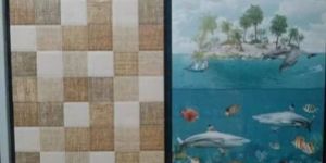 Ceramic Bathroom Tiles