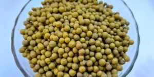 Yellow Bentonite Granules