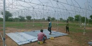 Greenhouses Construction Services