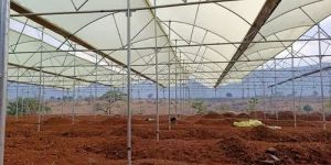 Open Ventilated Polyhouse